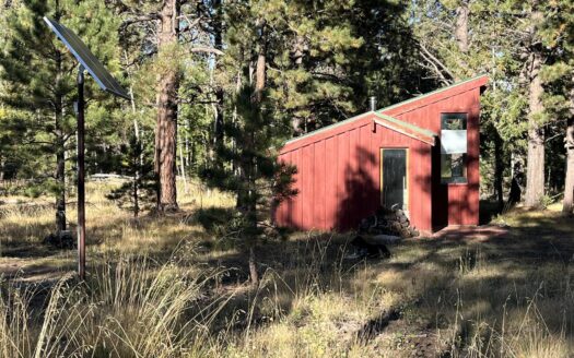 W 80 Piney Woods Way