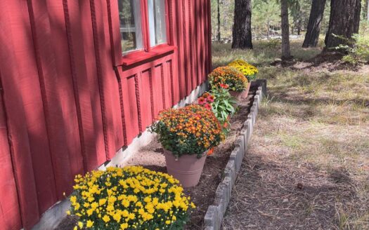 W 80 Piney Woods Way