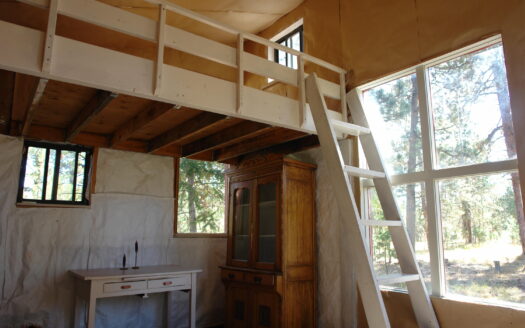 W 80 Piney Woods Way