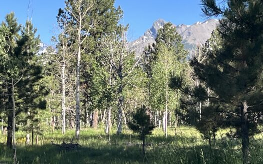 W 80 Piney Woods Way