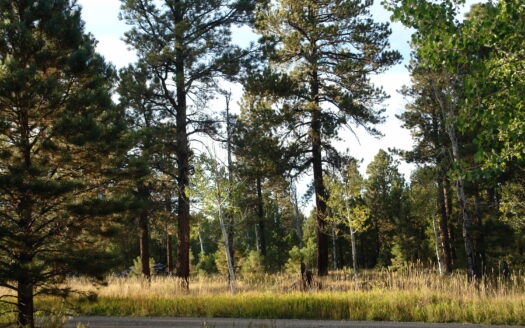 W 80 Piney Woods Way