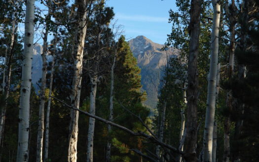 W 80 Piney Woods Way