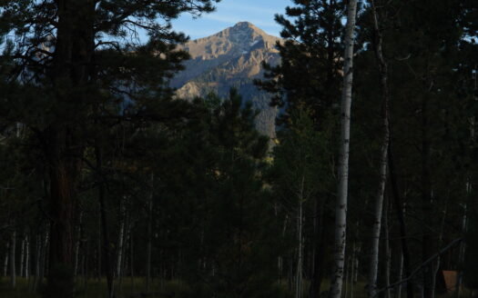 W 80 Piney Woods Way