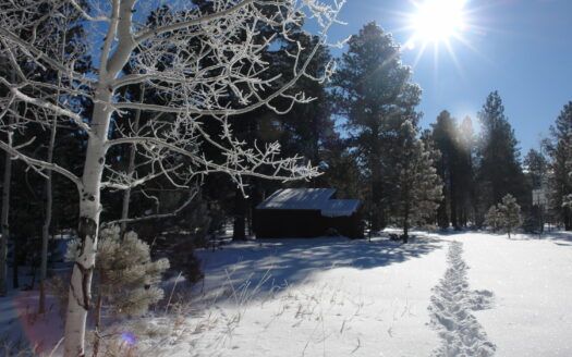 W 80 Piney Woods Way