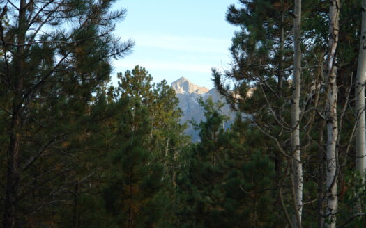 W 80 Piney Woods Way