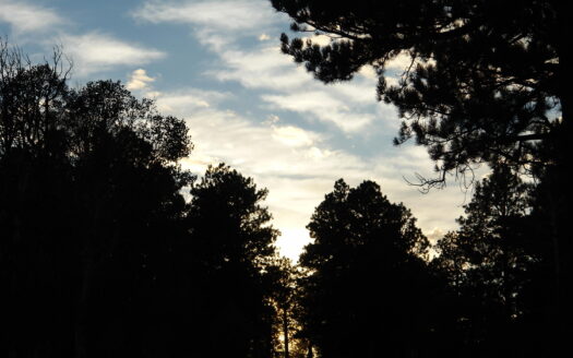 W 80 Piney Woods Way