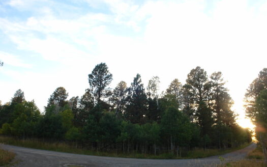 W 80 Piney Woods Way