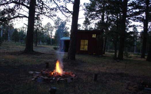 W 80 Piney Woods Way