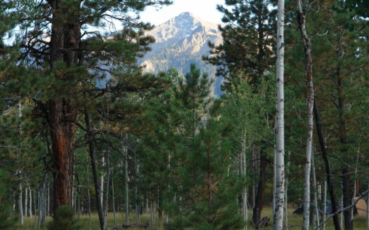 W 80 Piney Woods Way