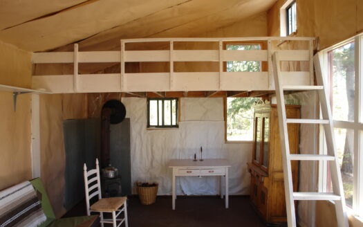 W 80 Piney Woods Way