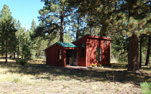 W 80 Piney Woods Way