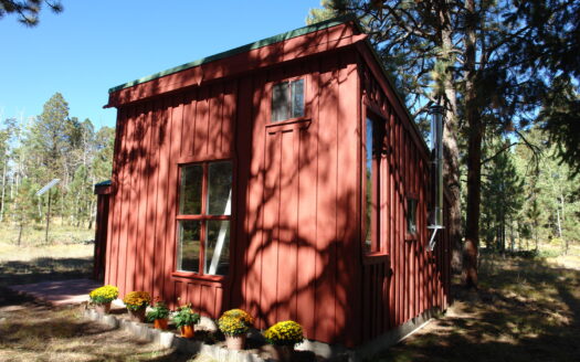 W 80 Piney Woods Way