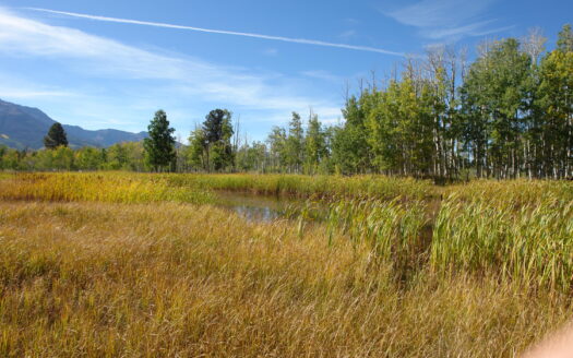 W 80 Piney Woods Way