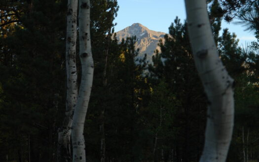 W 80 Piney Woods Way