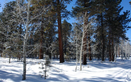 W 80 Piney Woods Way