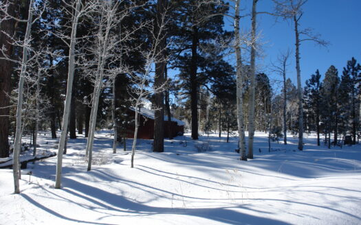 W 80 Piney Woods Way