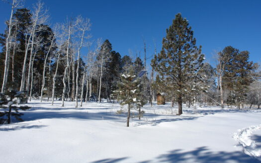 W 80 Piney Woods Way