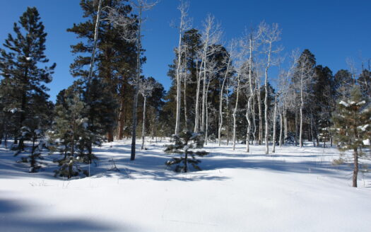 W 80 Piney Woods Way