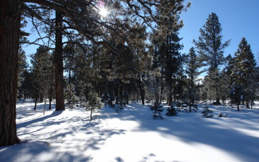 W 80 Piney Woods Way