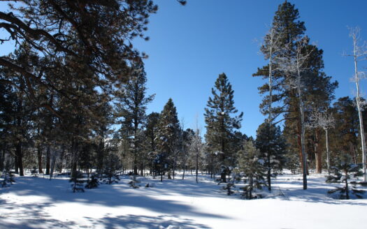 W 80 Piney Woods Way