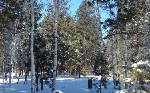 W 80 Piney Woods Way