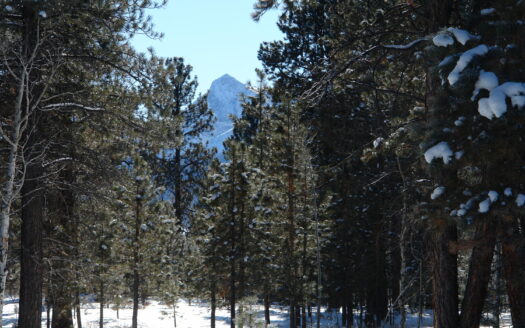 W 80 Piney Woods Way