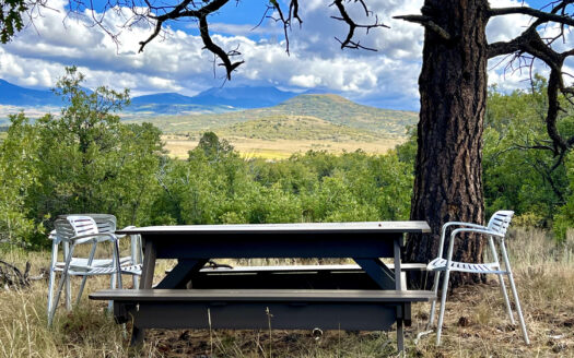 N TBD Gurley Lake Drive