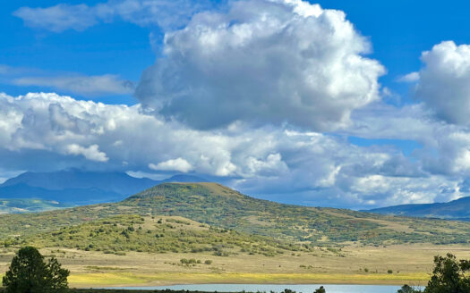 N TBD Gurley Lake Drive