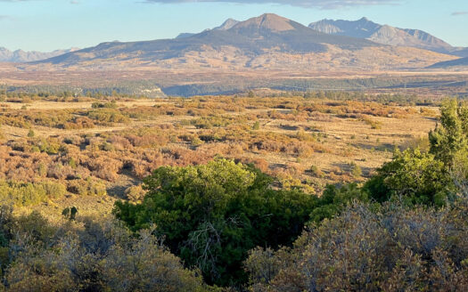 N TBD Gurley Lake Drive