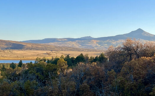 N TBD Gurley Lake Drive