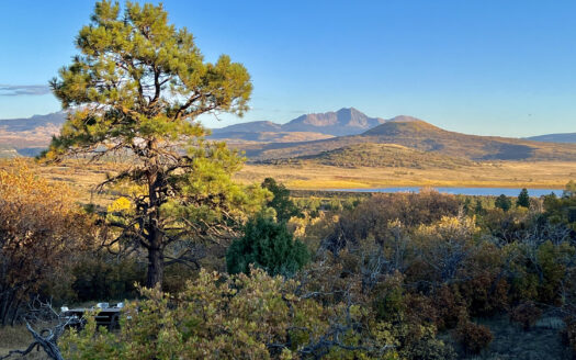 N TBD Gurley Lake Drive