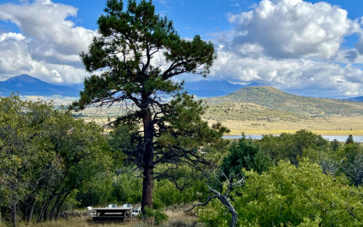 N TBD Gurley Lake Drive