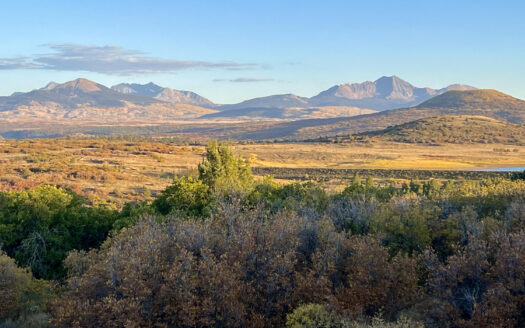 N TBD Gurley Lake Drive