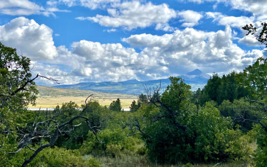 N TBD Gurley Lake Drive