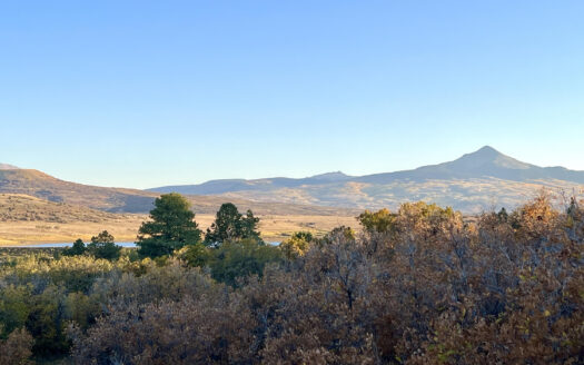 N TBD Gurley Lake Drive