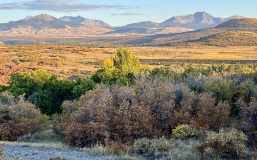 N TBD Gurley Lake Drive