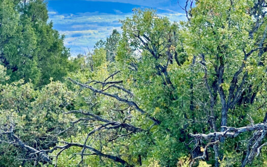 N TBD Gurley Lake Drive