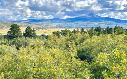 N TBD Gurley Lake Drive