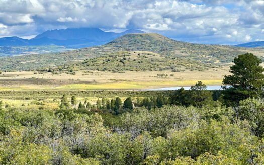 N TBD Gurley Lake Drive