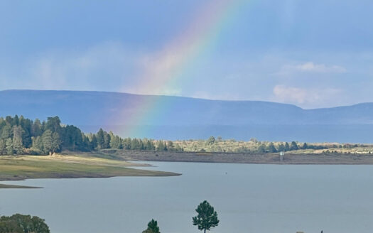 N TBD Gurley Lake Drive