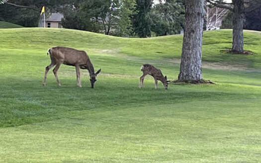 SE 720 Stonebridge Drive