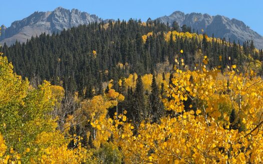 TBD Saddle Horn Lane