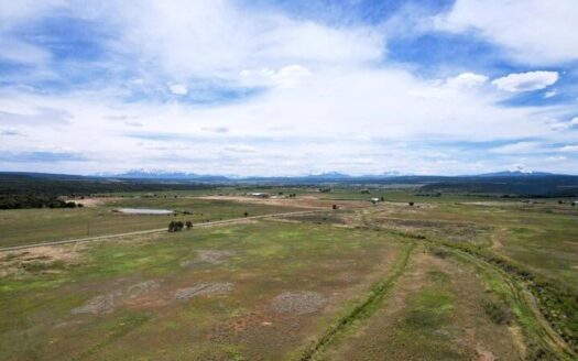 35101 County Road 4000