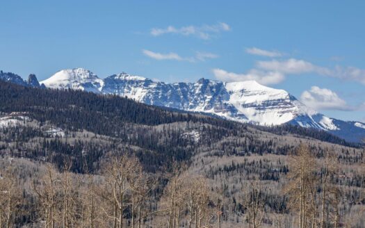 102 Christina’s Way