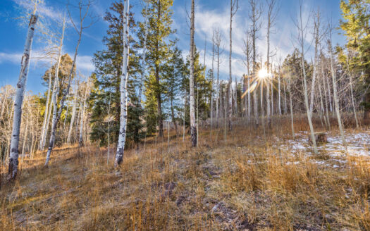 103 Double Eagle Way