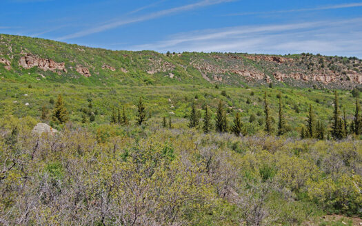 TBD Old Hwy 90