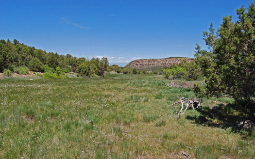 TBD Old Hwy 90