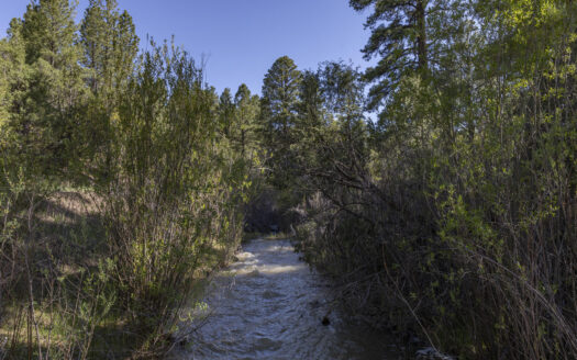 1789 County Road 44Z S