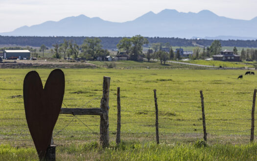 1789 County Road 44Z S