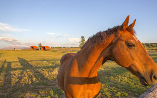 1789 County Road 44Z S